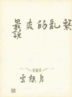 最爽的乱系列小说封面