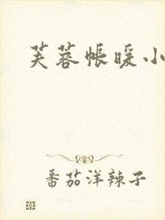 芙蓉帐暖小说封面