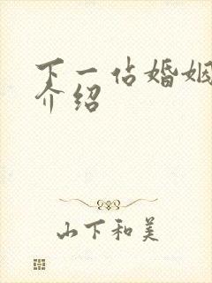 下一站婚姻剧情介绍