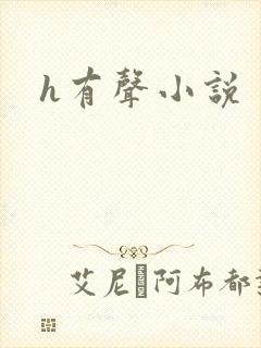 h有声小说