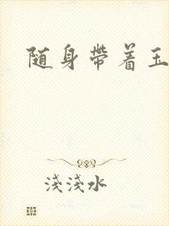 随身带着玉如意封面