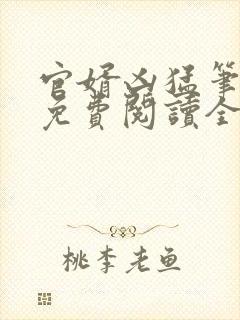 官婿凶猛笔趣阁免费阅读全文