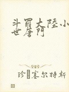 斗罗大陆小说绝世唐门