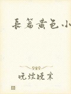 长篇黄色小说