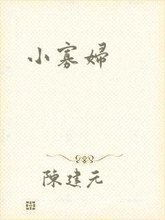 小寡妇封面