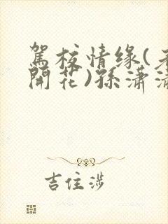 驾校情缘(老树开花)孙潇潇笔趣阁
