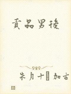 贡品男后