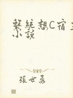 系统想C宿主的小说