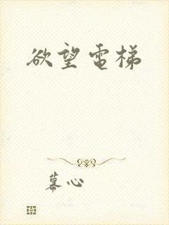 欲望电梯
