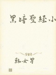 黑暗圣经小说封面