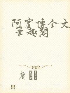 阿宾传全文阅读 笔趣阁