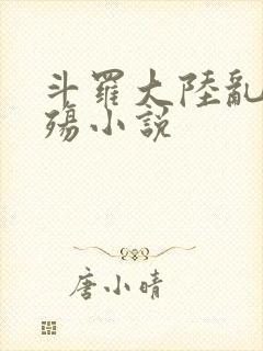 斗罗大陆乱世浮殇小说