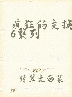 疯狂的交换1一6系列