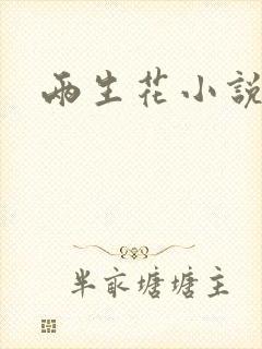 两生花小说封面