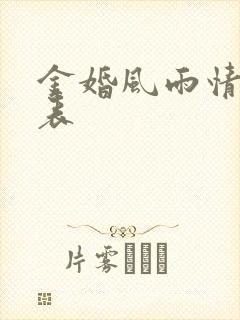 金婚风雨情演员表封面