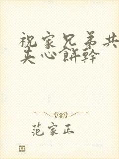 祝家兄弟共享后夹心饼干