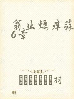 翁止熄痒苏玥第6章