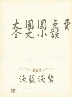 大团圆免费阅读全文小说