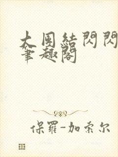 大团结闪闪发光笔趣阁封面