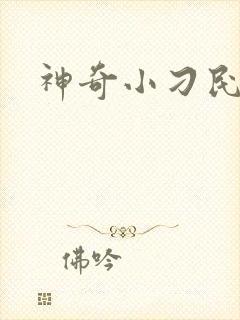神奇小刁民