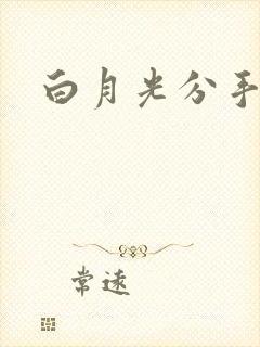 白月光分手日常