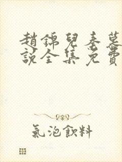 赵锦儿秦慕修小说全集免费封面