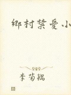 乡村禁爱小说