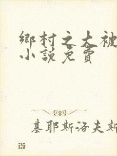 乡村之大被同眠小说免费