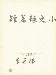 短篇辣文小说