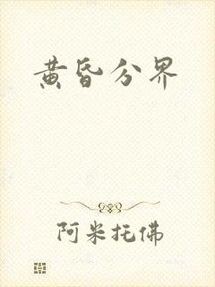 黄昏分界封面