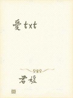 爱txt