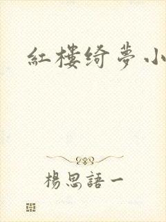 红楼绮梦小说封面