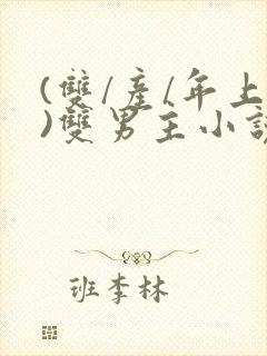 (双/产/年上)双男主小说