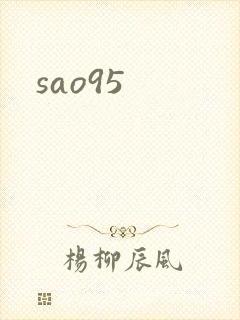 sao95封面
