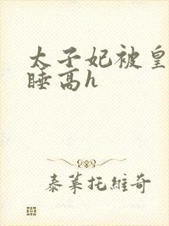太子妃被皇上强睡高h