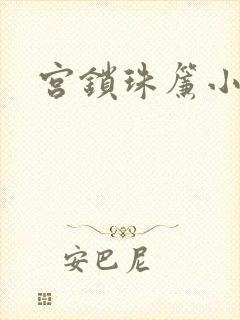 宫锁珠帘小说