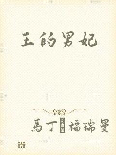 王的男妃