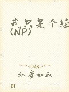 我只是个经纪人(NP)