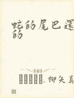 蛇的尾巴还在我的