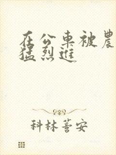 在公车被农民工猛烈进
