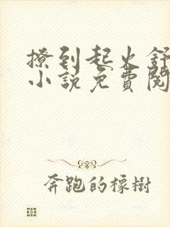 撩到起火舒漾的小说免费阅读全文