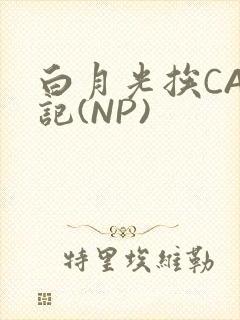 白月光挨CAO记(NP)封面