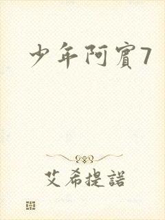 少年阿宾7封面