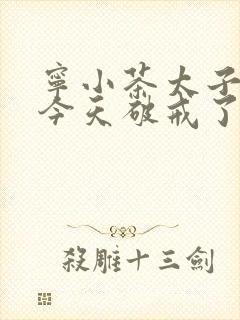 宁小茶太子殿下今天破戒了吗免费阅读封面