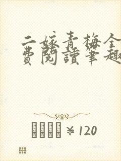 二嫁青梅全文免费阅读笔趣阁