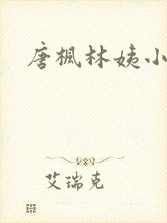 唐枫林姨小说