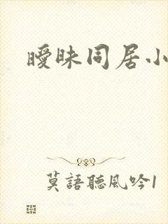 暧昧同居小说