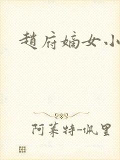 赵府嫡女小说封面