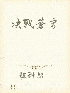 决战苍穹封面