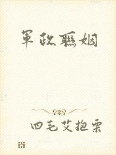 军政联姻封面